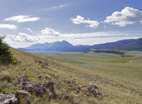A vast valley of grassland backdropped by mountains in the distance