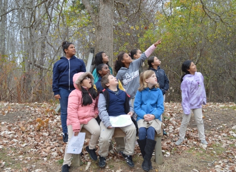 a group of children in a forest look and point up in the sky with awe, presumably because they're looking at a bird or other wildlife