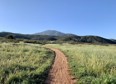 Dirt trail surrounded on each side by short grasses with hills and a mountain in the background.