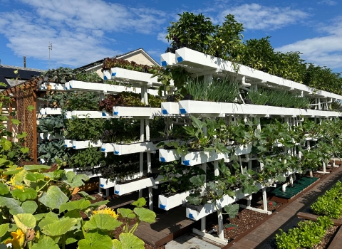 Vertical container garden structures with vegetables
