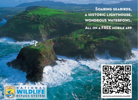 Overhead photo of a green island with a dramatic point over 200 feet high with waves crashing on the cliff. There is a lighthouse at the end of the point. 