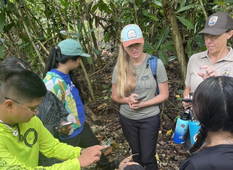 Citizen scientists on Guam discuss plant features to help with identification