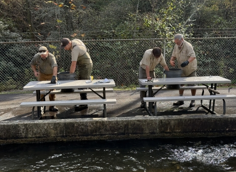 Crew working on fish