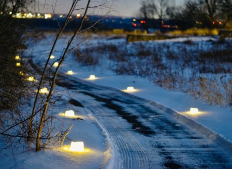 snowy path lit up with small candles on the sides of the path