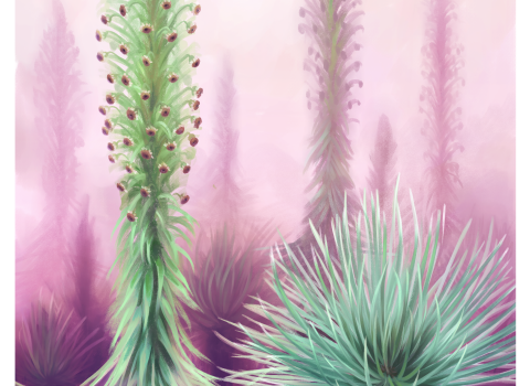 a painting of a spiky green plant reaches toward the sky against a misty pink background