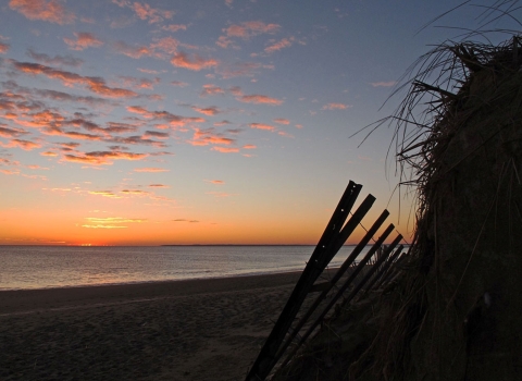 Image of beach horizon at Parker River NWR