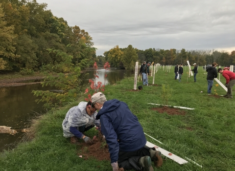 Two people kneel on a grassy bank to plant a tree next to a river with more people planting trees in the background. 