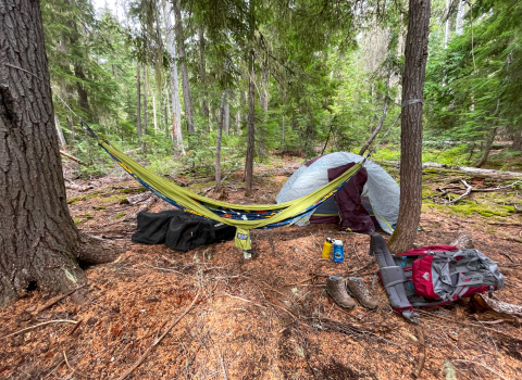 A campsite with a hammock hanging between two trees, a tent, boots, and other gear on the ground.