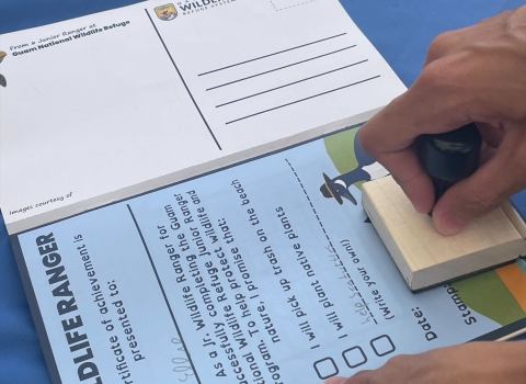 Guam NWR Junior Wildlife Ranger booklet pledge
