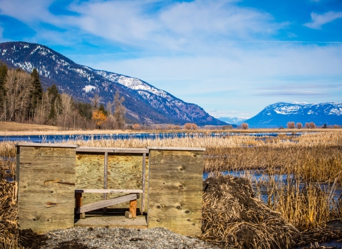 A disabled hunt blind at Kootenai NWR