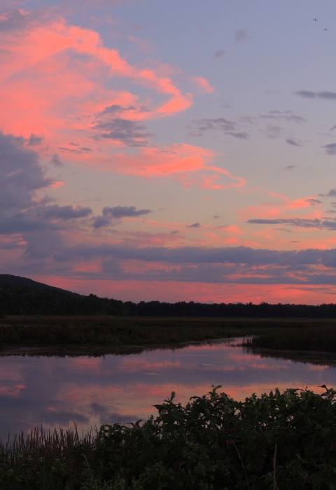 Wallkill River National Wildlife Refuge | Visit Us - Activities | U.S ...