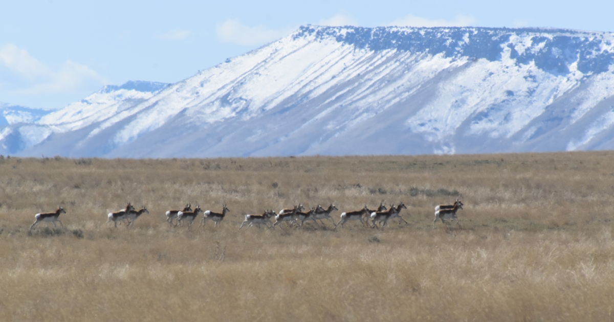 Minidoka National Wildlife Refuge | U.S. Fish & Wildlife Service