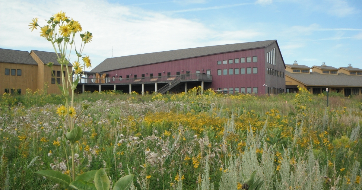 Fergus Falls Wetland Management District | Species | U.S. Fish ...
