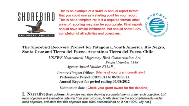 Neotropical-Migratory Bird Conservation Act Example of an Annual Report ...