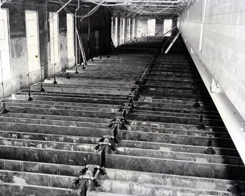 Our History | U.S. Fish & Wildlife Service