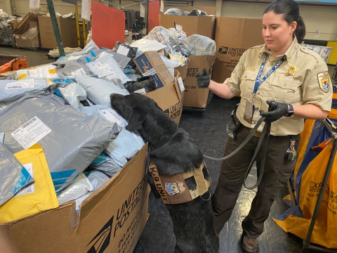 Inspecto R Dog Wildlife inspector dog | FWS.gov