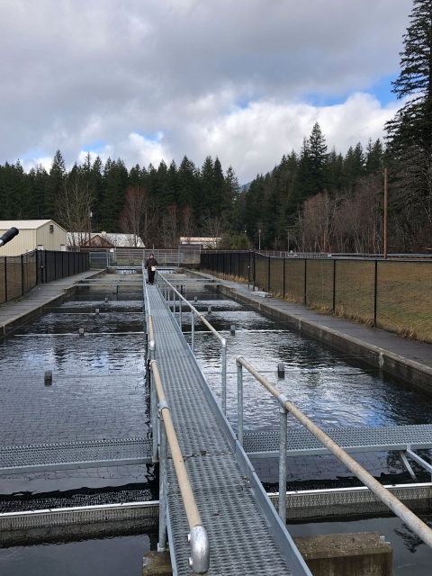 Carson National Fish Hatchery | U.S. Fish & Wildlife Service
