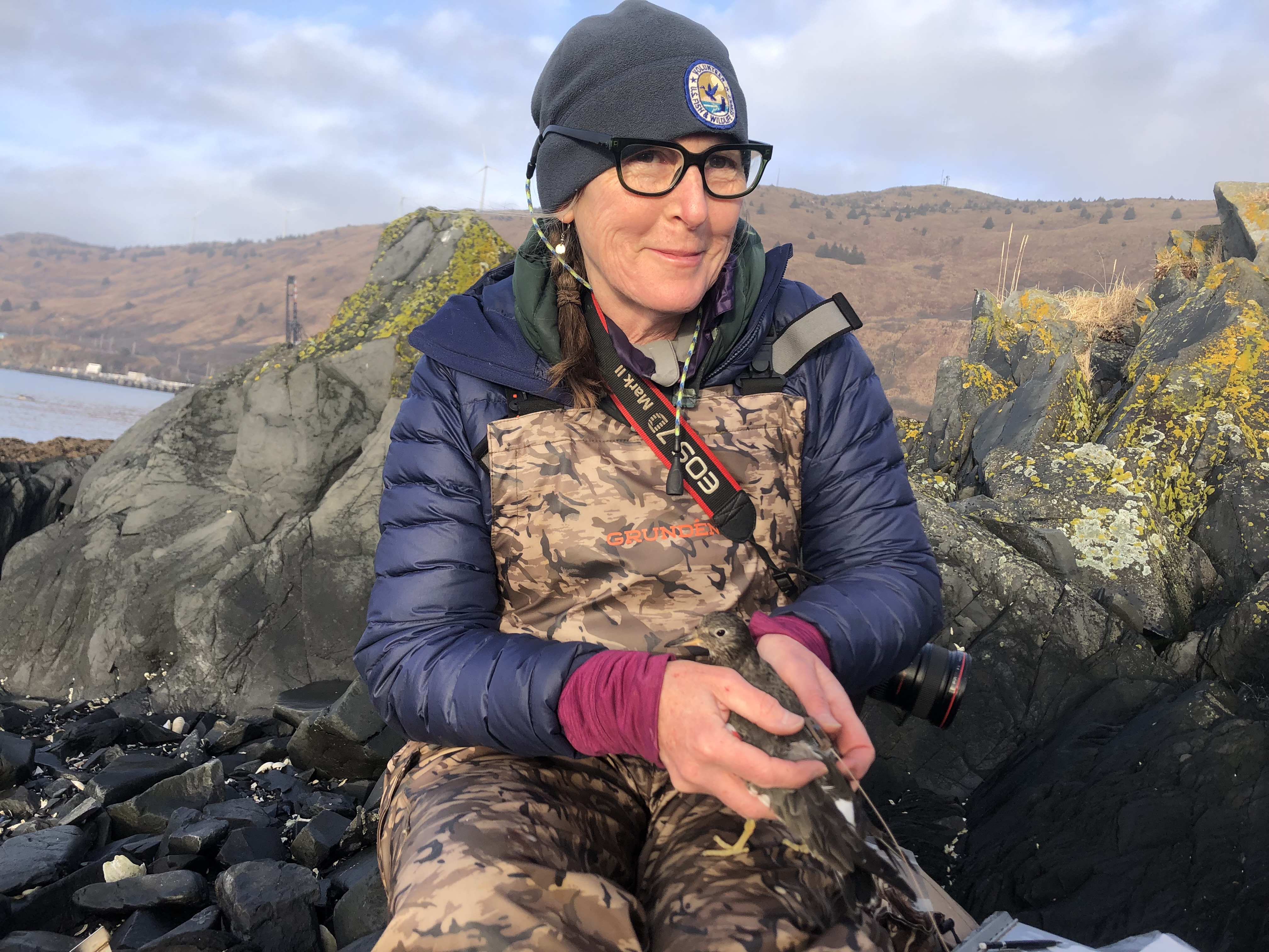 Corcoran Weather Robin Corcoran Tagging Surfbirds | FWS.gov