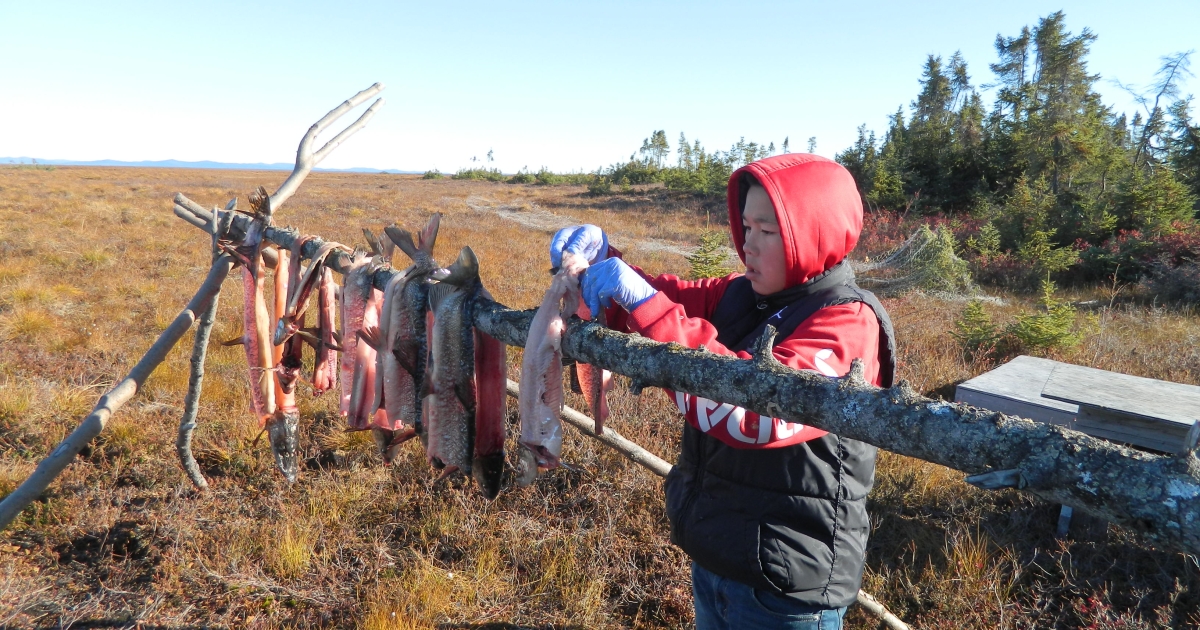 Selawik Science-Culture Camp | U.S. Fish & Wildlife Service