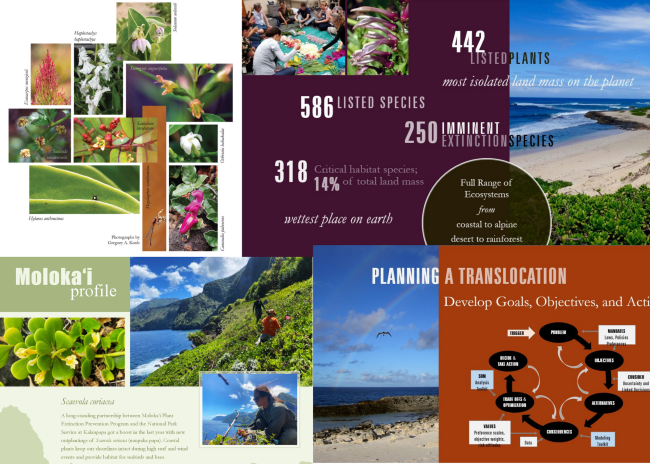A Collage of Info Graphs | FWS.gov