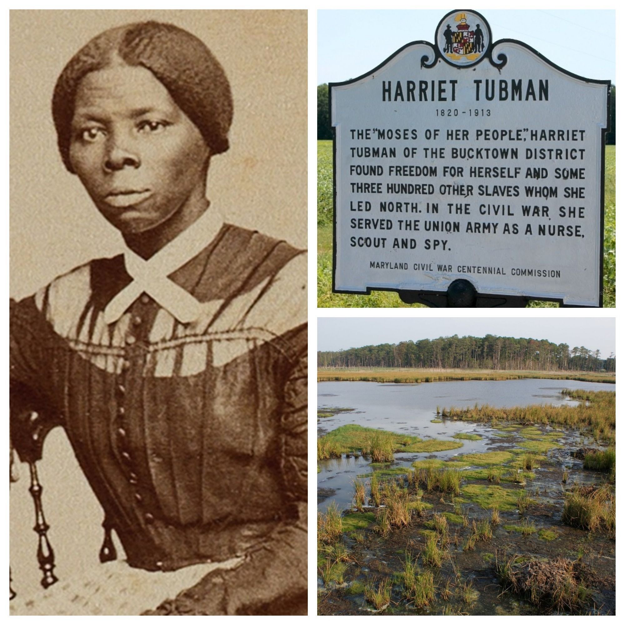 Harriet Tubman photo collage FWS gov