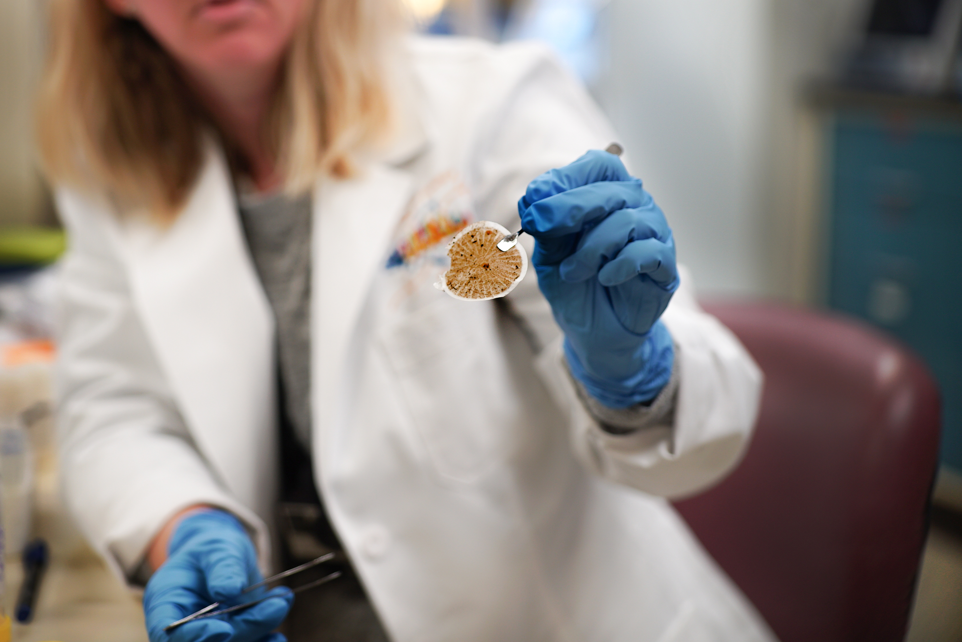 eDNA filter_lab_by Katrina.jpg | FWS.gov