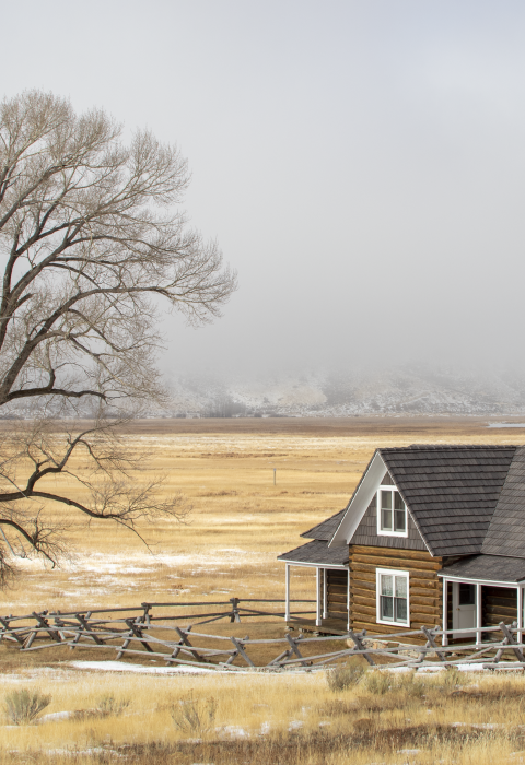 Historic house in open field with several leafless trees.