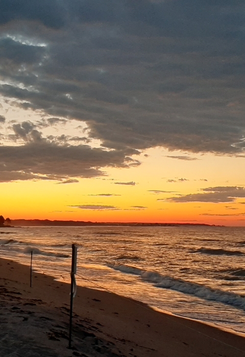 The glowing sun rises over a beach. 