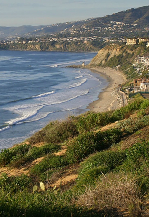 Landscape of beach cliff covered in green plants and rolling tide