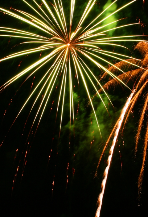 Fireworks in the night sky