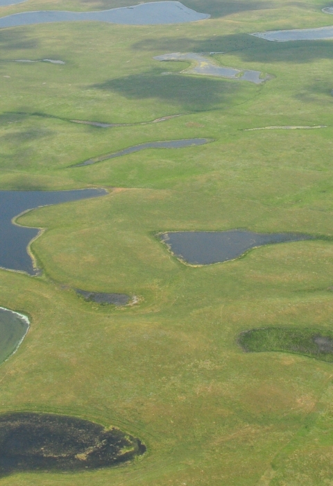 Sand Lake Wetlands