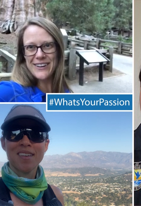 A collage of staff members. A banner reads "#WhatsYourPassion