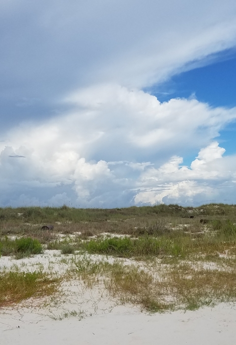 View of dunes from the beach with storm clouds in the background