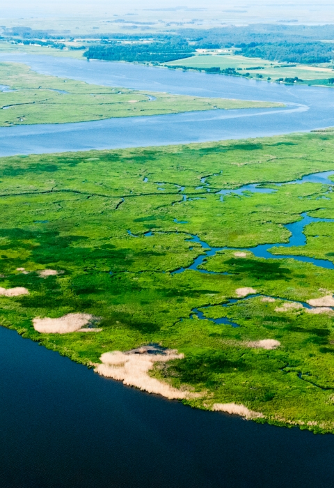 Wetlands buffer communities along the Nanticoke River flowing into Chesapeake Bay