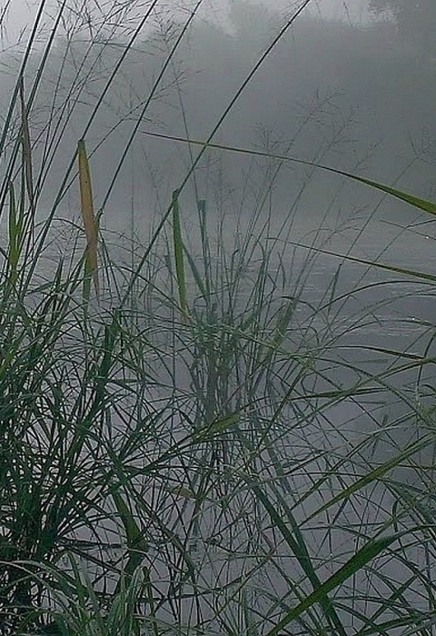 A young hunter in a camouflage cap crouching in talk grass next to a body of water