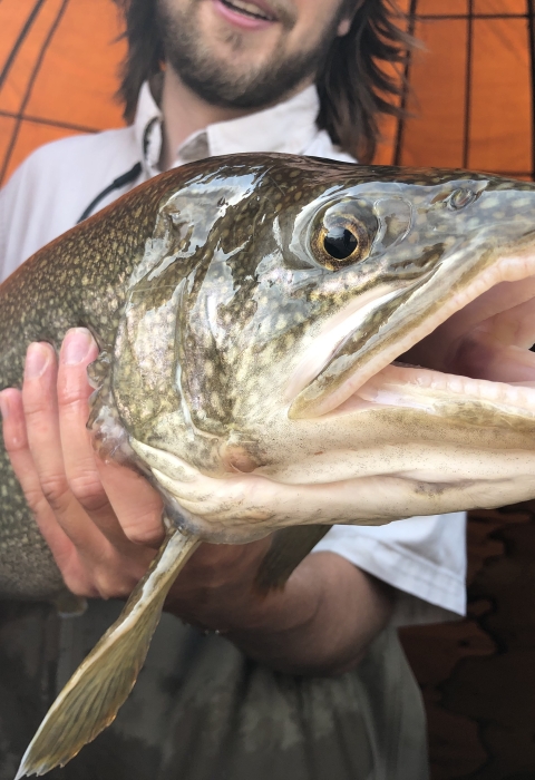 Biological Science Technician Paul Boynton holding an adult Lake Trout