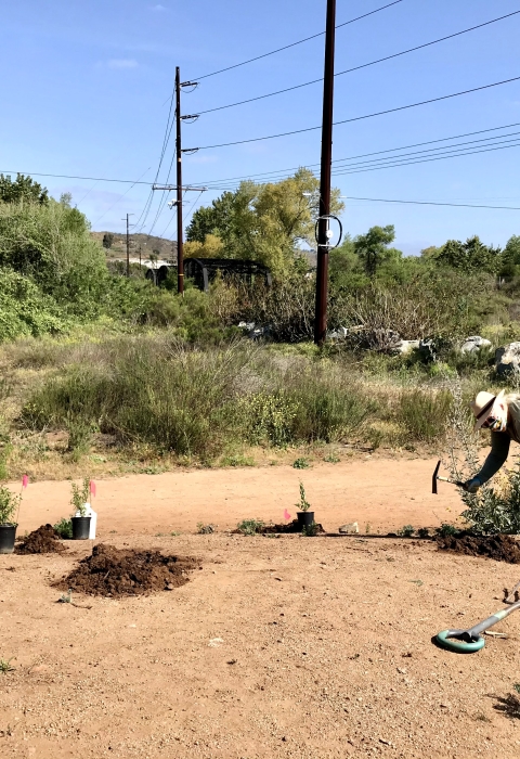 Two individuals on opposite ends are on a dry, almost empty garden planting native plants. 