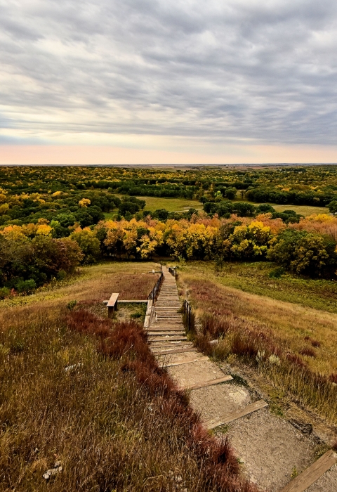 A scenic view from the top of White Horse Hill overlooking woodlands and prairie