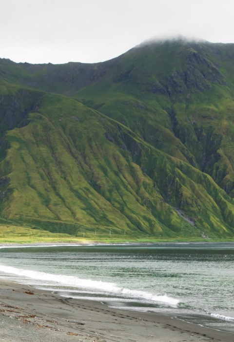 View of green mountains crowned by mist with beach, grass, and ocean shoreline in the distance.