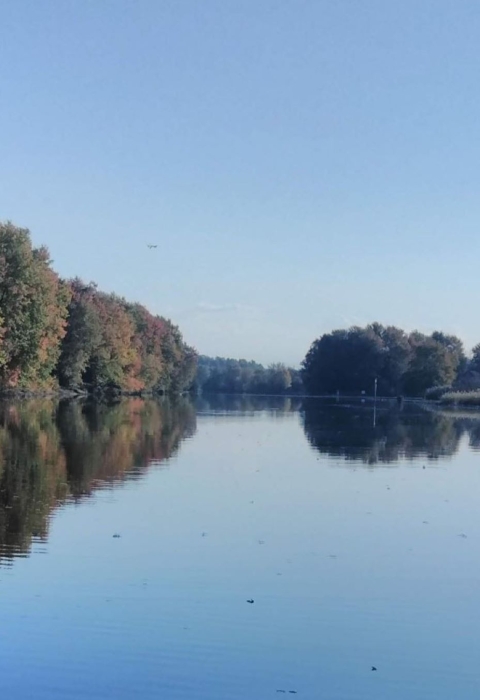 Part of the canal located at the Montezuma Wildlife Refuge