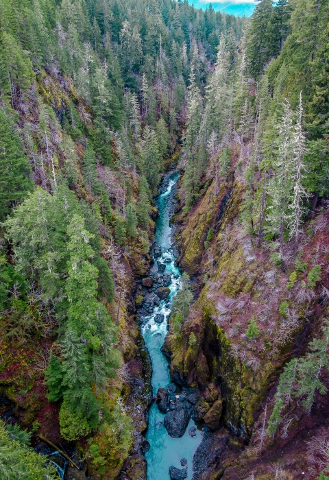 A river running through a valley full of trees