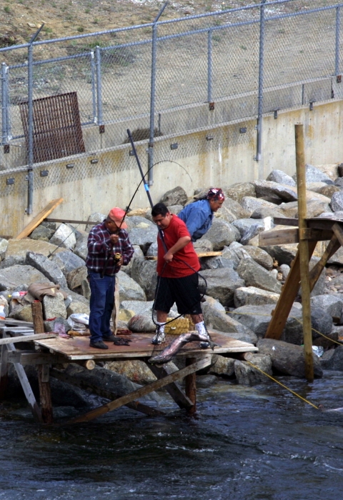 3 men stand on the middle of 3 wooden platforms elevated over the water at the rocky edge of a river. 1 elder holds a rod while a younger man uses a net to lift a salmon up to the platform. Behind them is a concrete wall and fence.