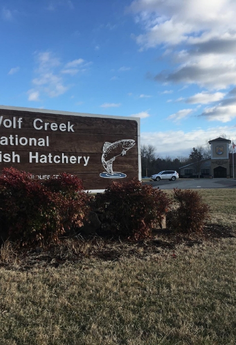 Entrance sign at Wolf Creek National Fish Hatchery 