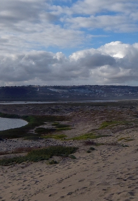 A river coming from the left curves to meet the ocean with a sandy beach in the foreground
