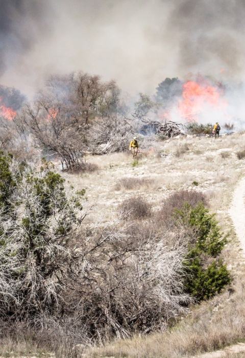 area of brownish shrubs with small fires, firefighters