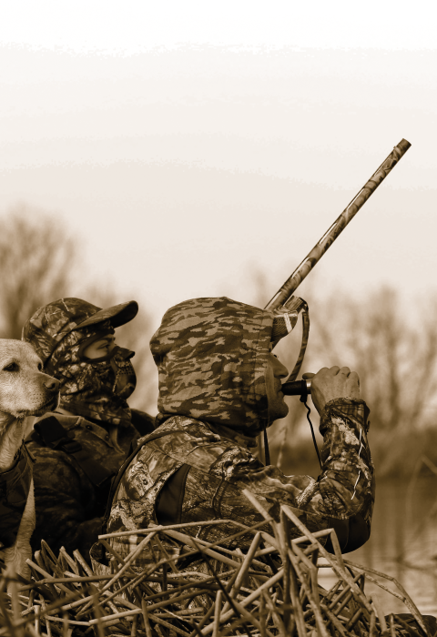 Two hunters in camo clothing hide with a hunting dog in the tules beside a marsh. One hunter is using duck call while the other holds a shotgun.