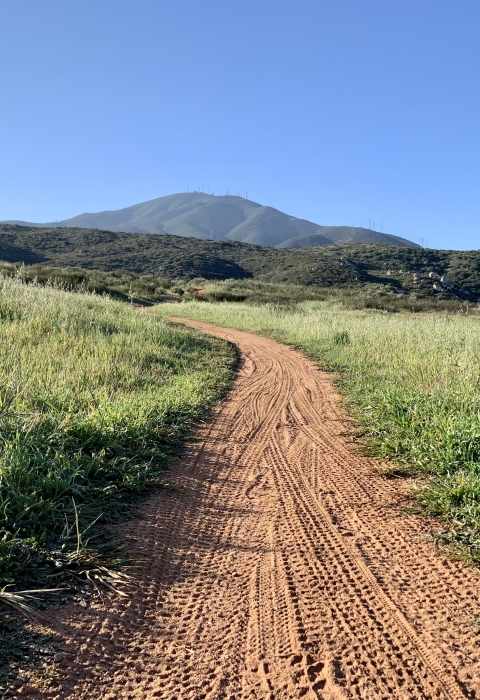 Trail leading from bottom center of image and winds to the left. Grasses surround the trail. In the background hills show before a tall mountain in the far back.