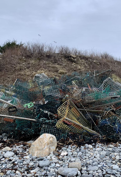 colorful wire boxes litter the rocky shore