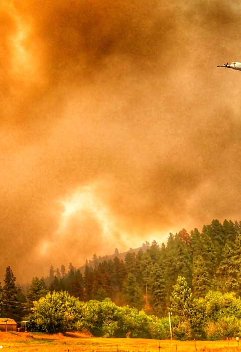 airplane drops red smoke in smoke-covered sky over trees, house