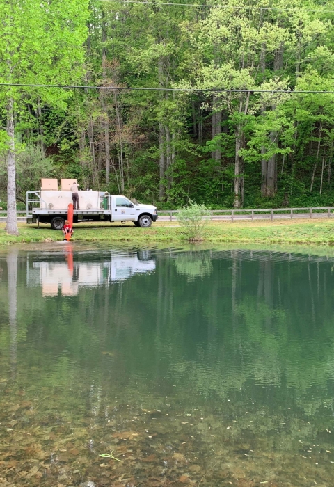 A large green pond is pictured. At the opposite end of the pond sits a fish stocking truck equipped with tanks and an orange hose attached that runs into the pond.